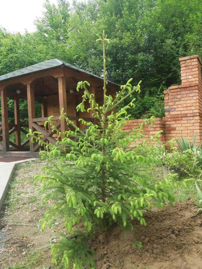 Villa Na Uzlissi Мигове Екстер'єр фото